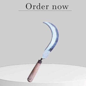 মাঝারি হোসা – অতিরিক্ত ধারালো ও গ্যারান্টিযুক্ত (Best Quality)